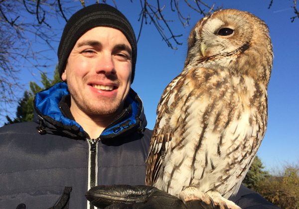 Customer holding Tawny Owl