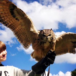 Girl holding Eagle Owl