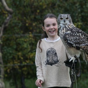 Child holding Indian Eagle Owl