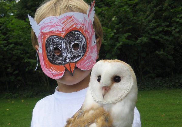 Child with owl mask holding Barn Owl