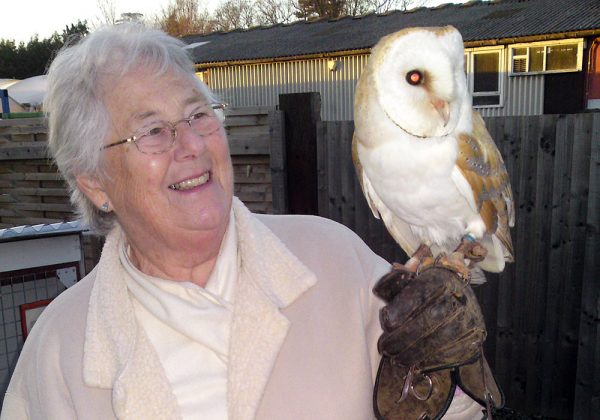 Customer holding Barn Owl