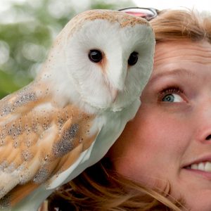 Falconer with Barn Owl