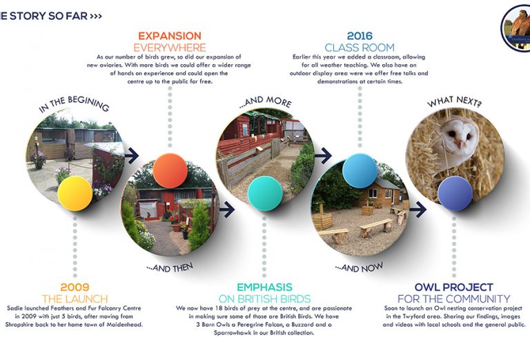 Feathers and Fur Timeline