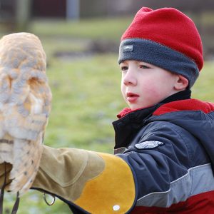 Boy holding Barn Owl