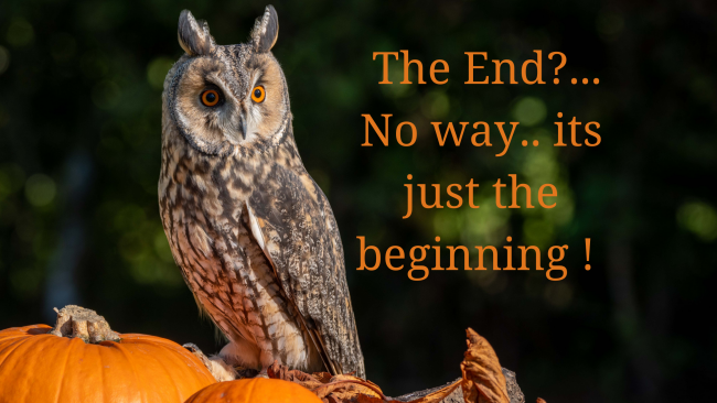 The End?… No way