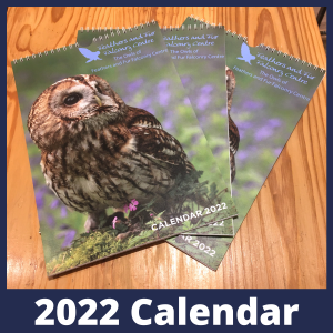 Owls of Feathers and Fur Falconry Centre 2022 Calendar