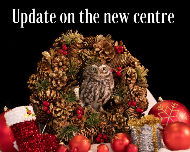 Update on the new centre