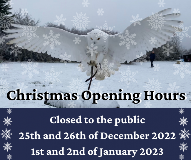 Christmas Opening Hours
