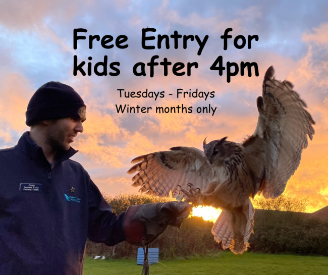 Free Entry for kids after 4pm