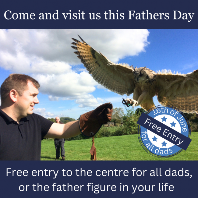 Come and visit us this Fathers Day
