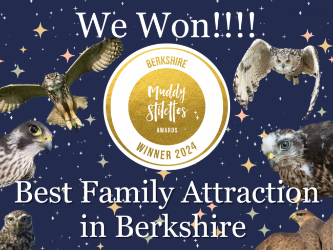 We Won!!!!