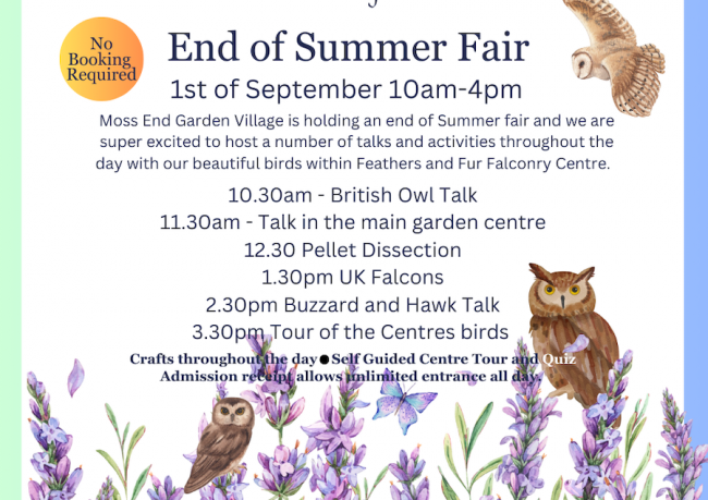 Summer Fair