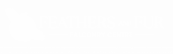 Feathers and Fur