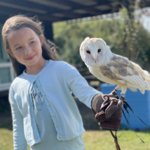 Home Education Owl Workshop