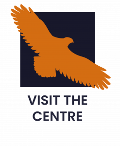 section header buttons-12