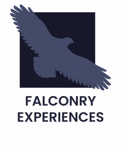 section header buttons-13